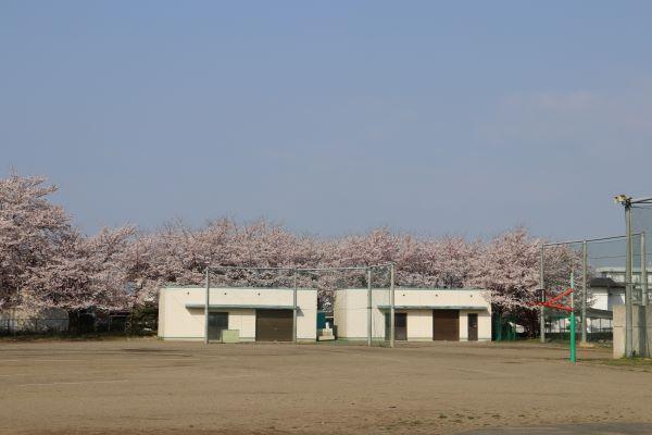 IMG_0964 IMG_0964