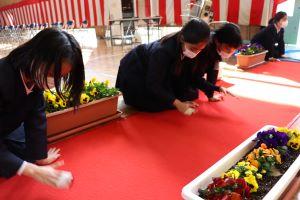 IMG_0975 IMG_0975
