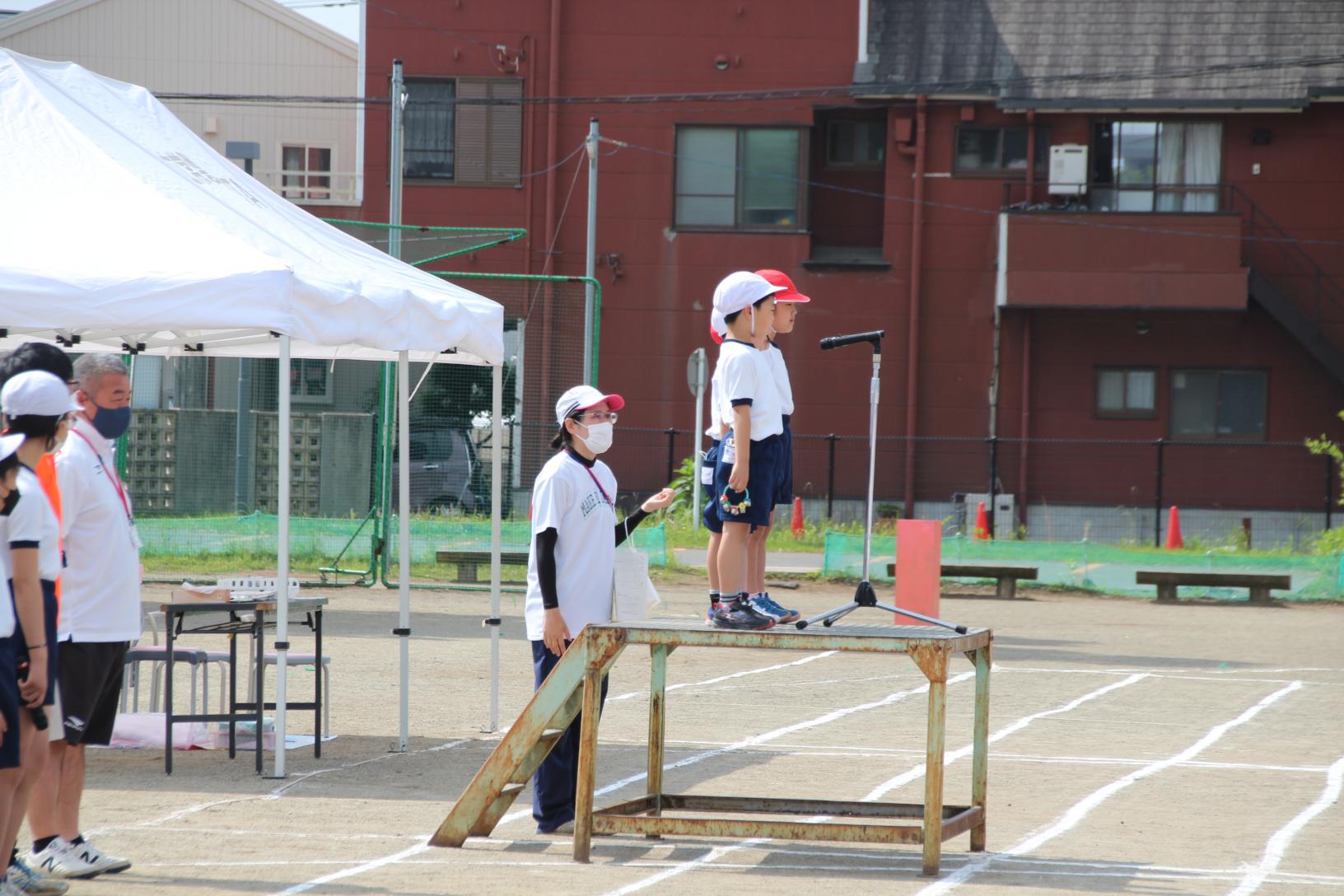 IMG_0559 IMG_0559