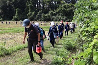 IMG_0478a IMG_0478a
