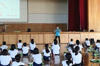 IMG_0586a IMG_0586a