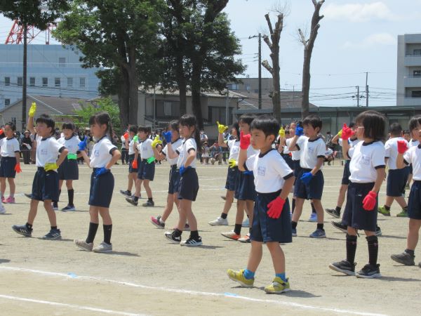 IMG_0682 IMG_0682