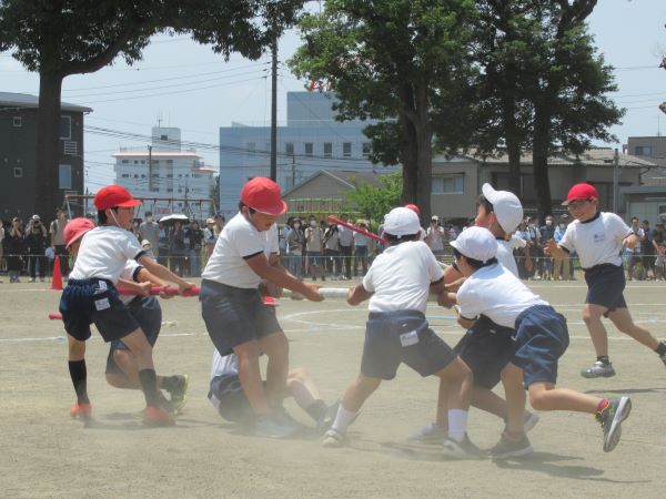 IMG_0670 IMG_0670