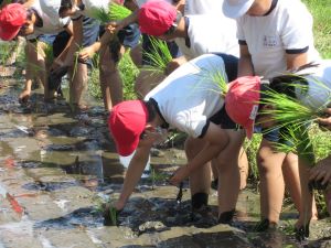 IMG_0744 IMG_0744