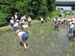 IMG_0754 IMG_0754