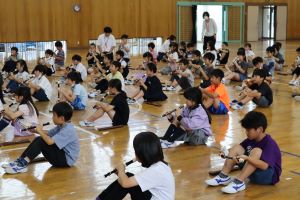 IMG_6395 IMG_6395