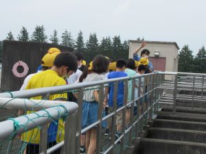 IMG_0950 IMG_0950