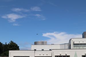 IMG_6724 IMG_6724