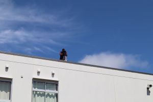 IMG_6739 IMG_6739