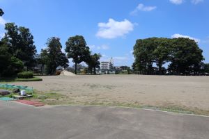 IMG_6778 IMG_6778