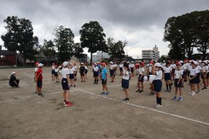 IMG_7490 IMG_7490