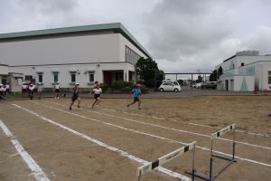 IMG_7499 IMG_7499