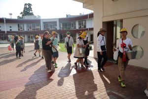 IMG_8014 IMG_8014