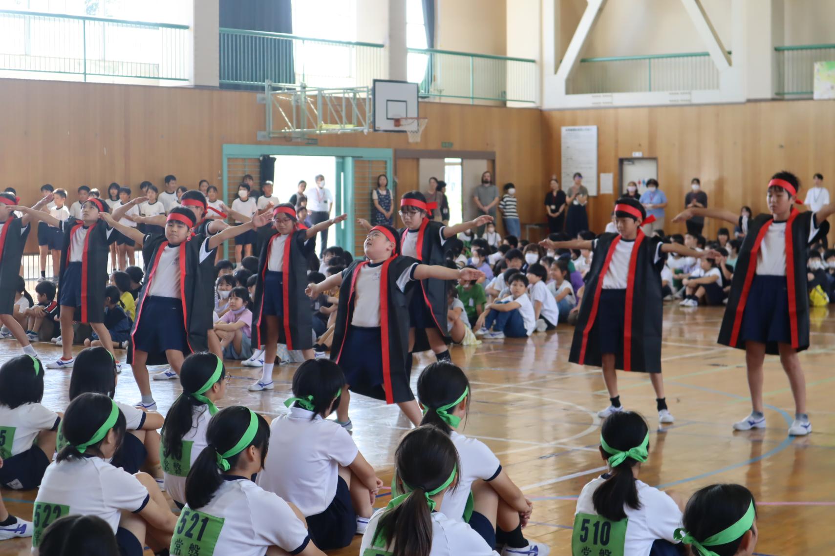 IMG_8078 IMG_8078