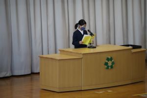 IMG_2062 IMG_2062