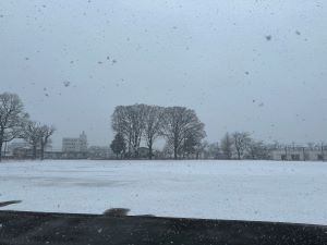 IMG_3098t