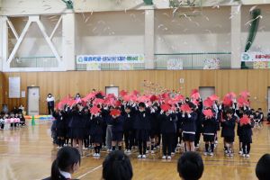 IMG_2942 IMG_2942