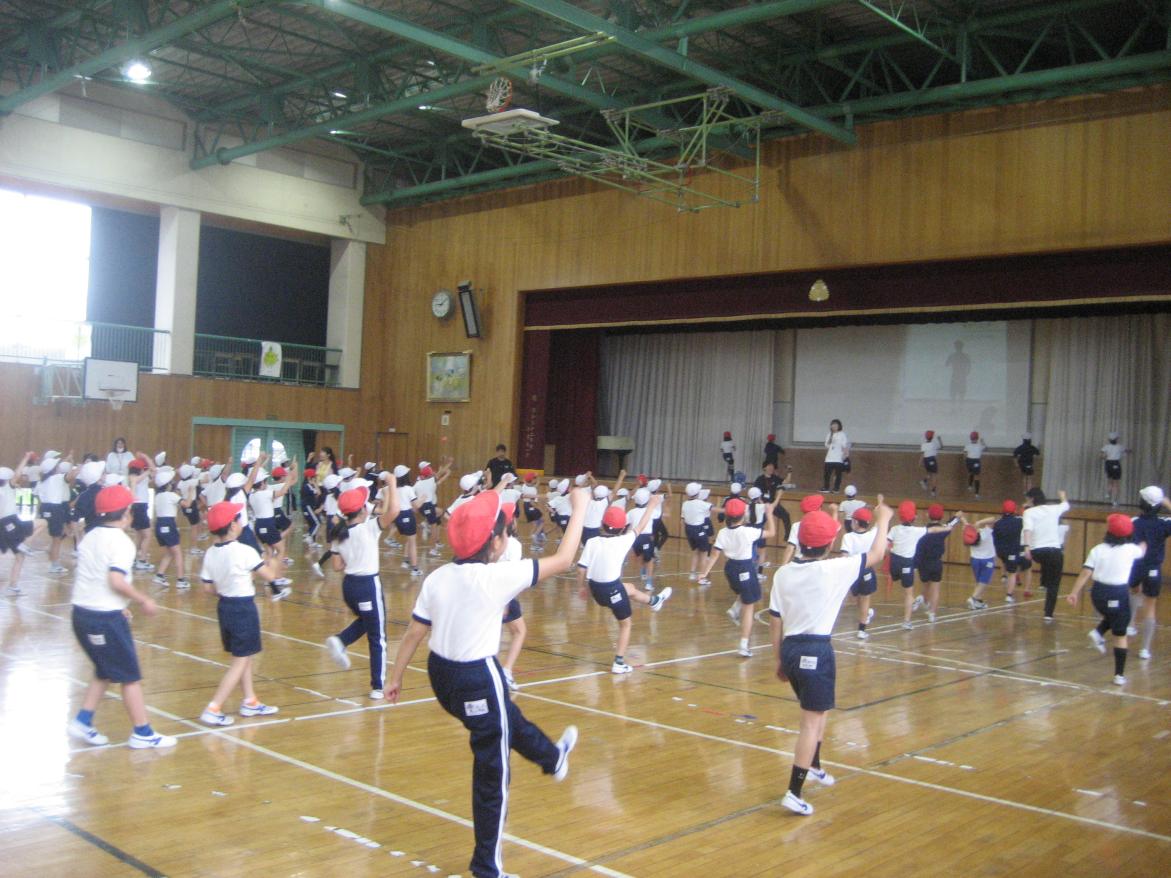 IMG_0860 IMG_0860