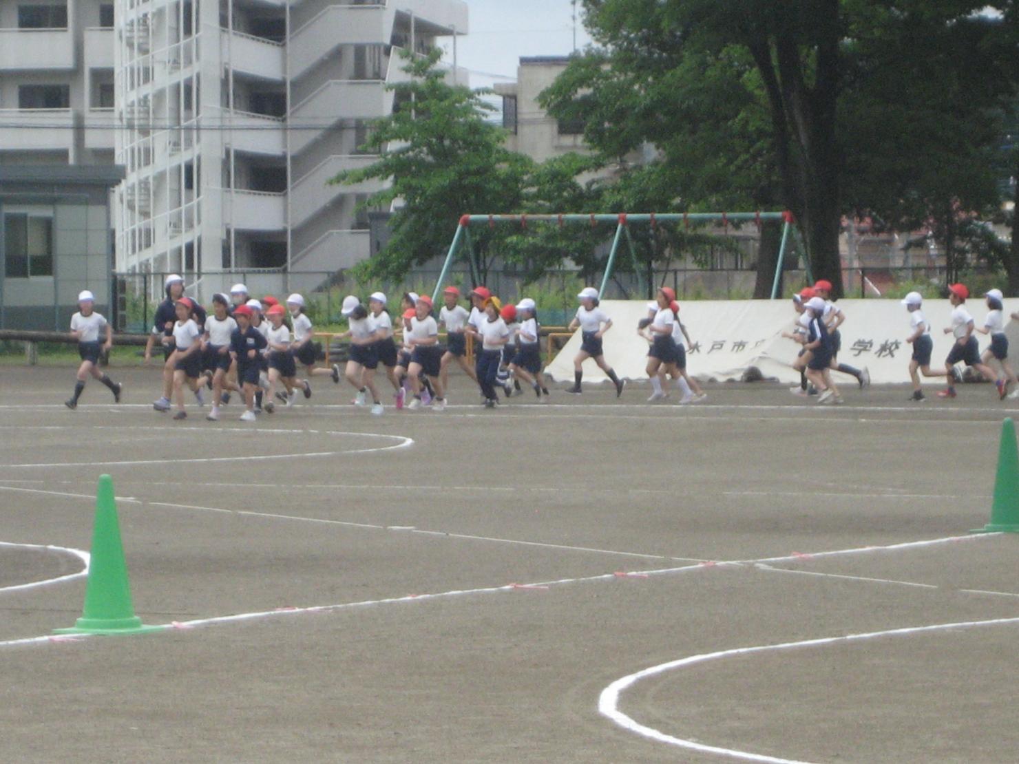 IMG_0890 IMG_0890