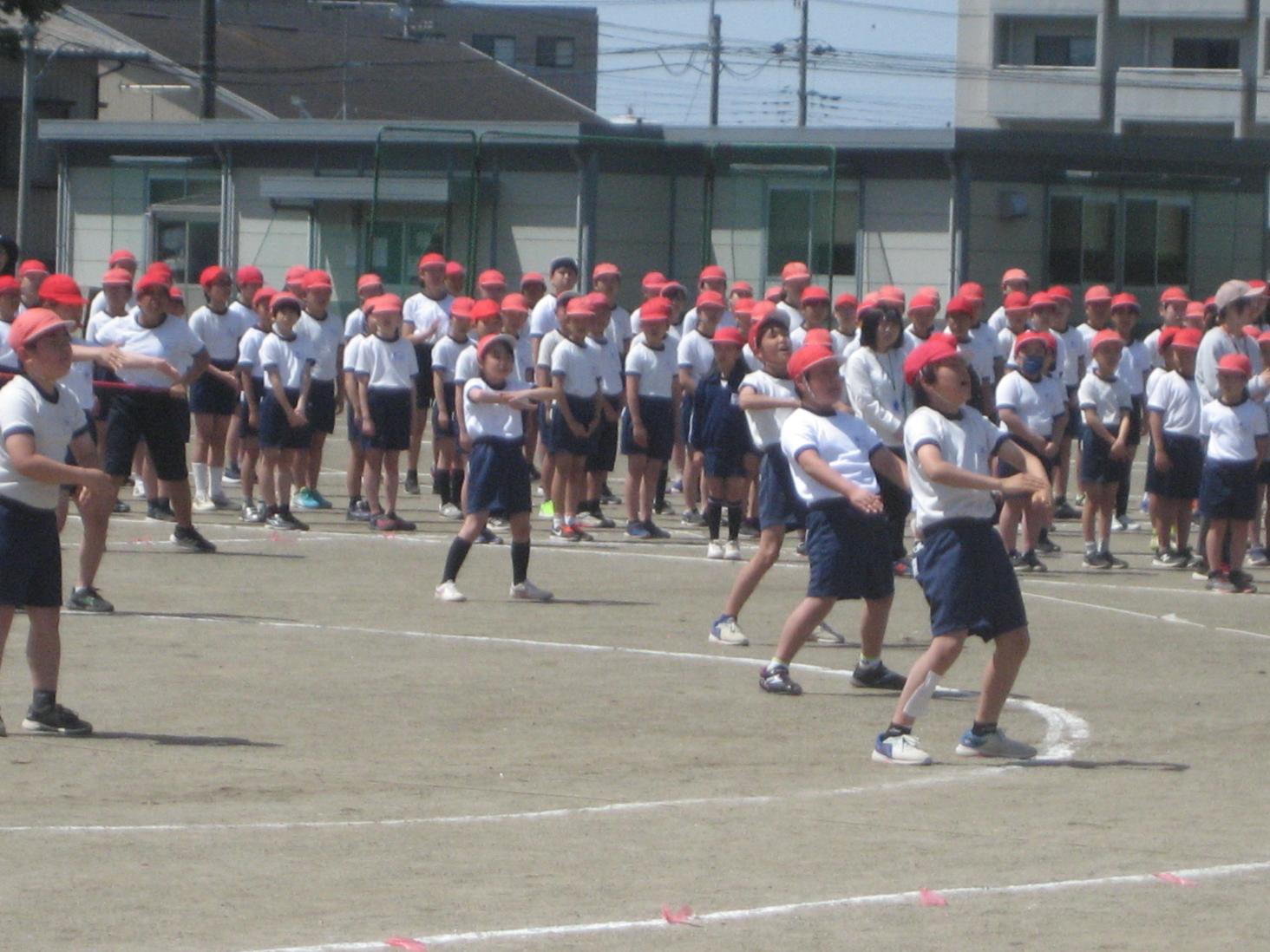IMG_0907 IMG_0907