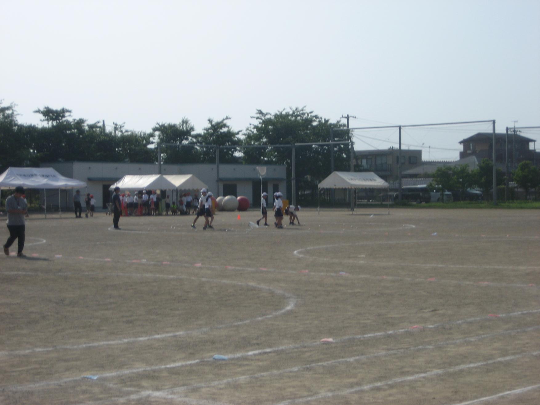 IMG_0955 IMG_0955