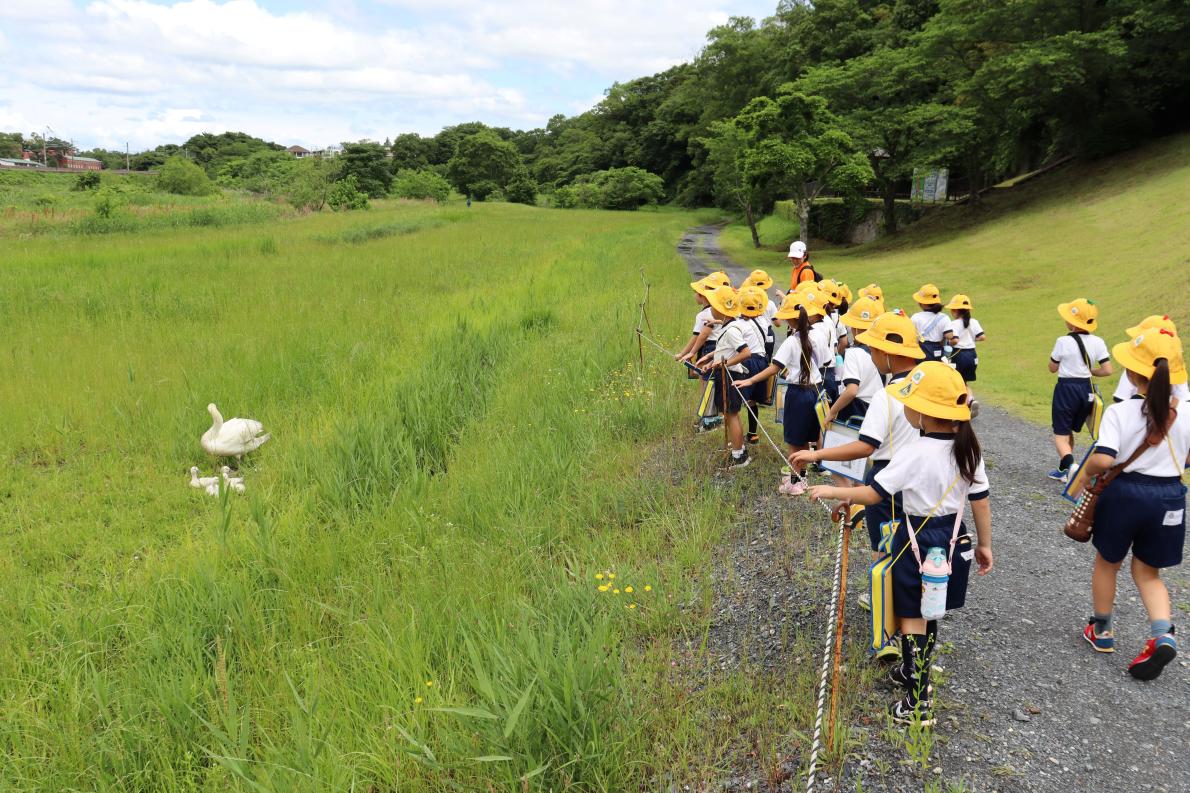なつたんけん1年(1) なつたんけん1年(1)