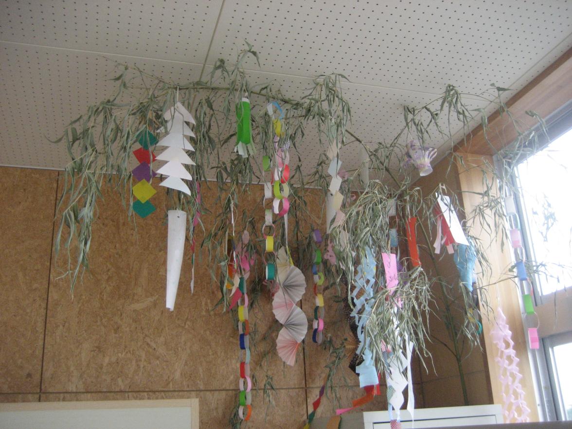 IMG_1221 IMG_1221