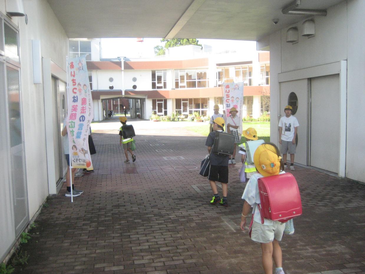 IMG_1243 IMG_1243