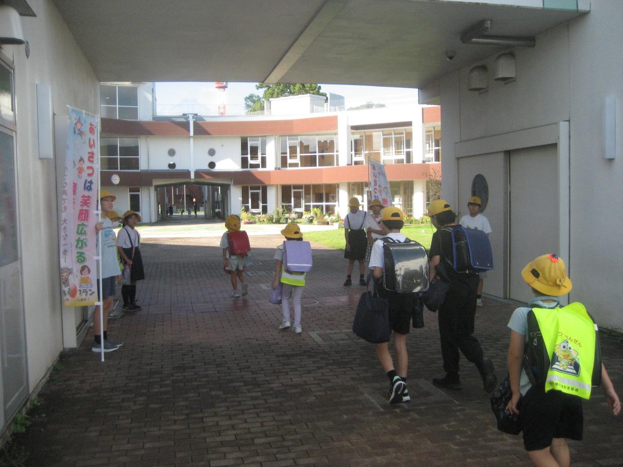 IMG_1244 IMG_1244