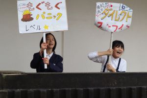 IMG_6387 IMG_6387