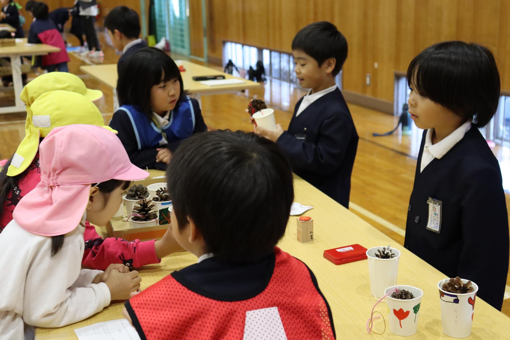 (6)IMG_9781 (6)IMG_9781
