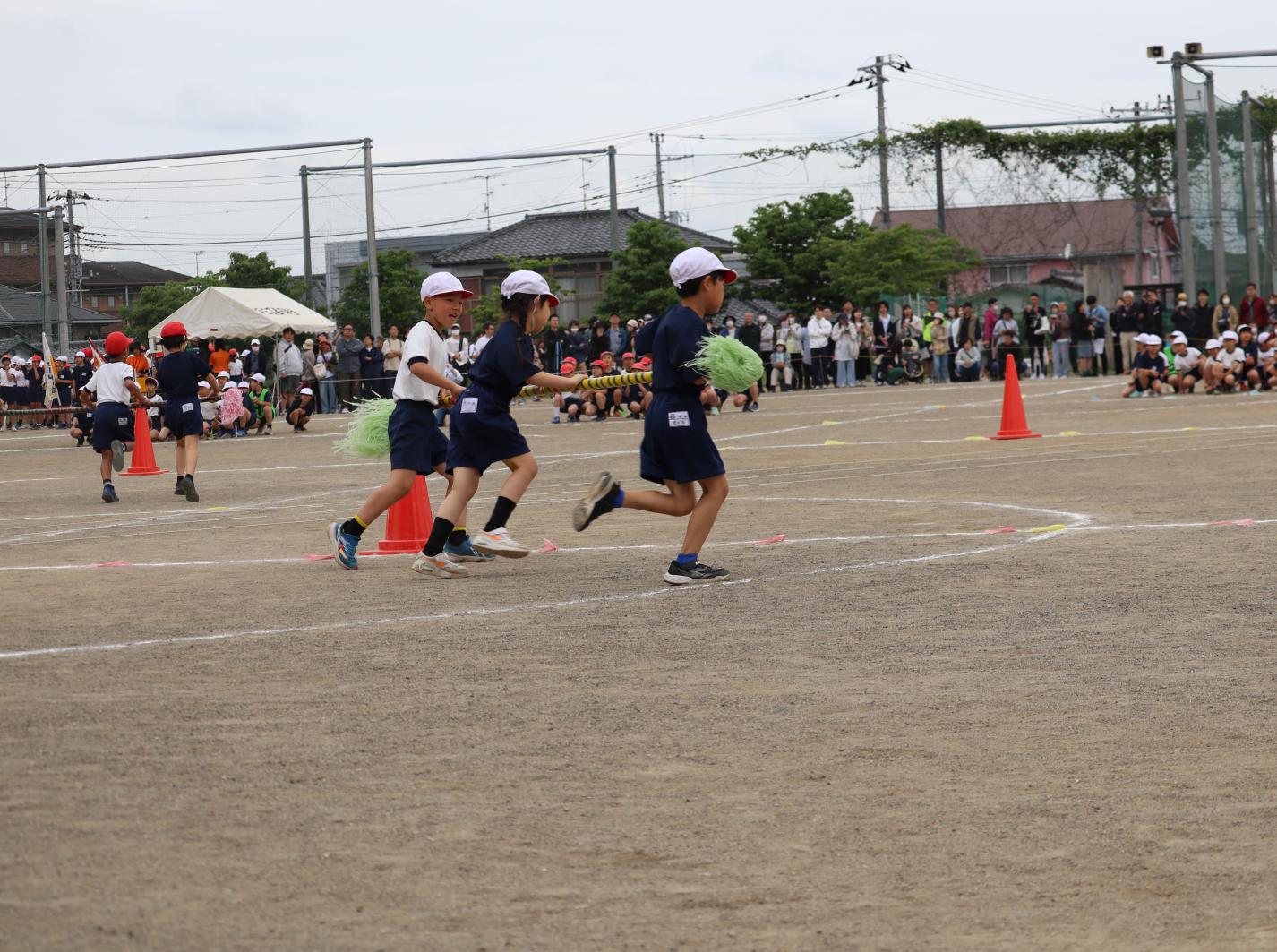 IMG_1784 IMG_1784