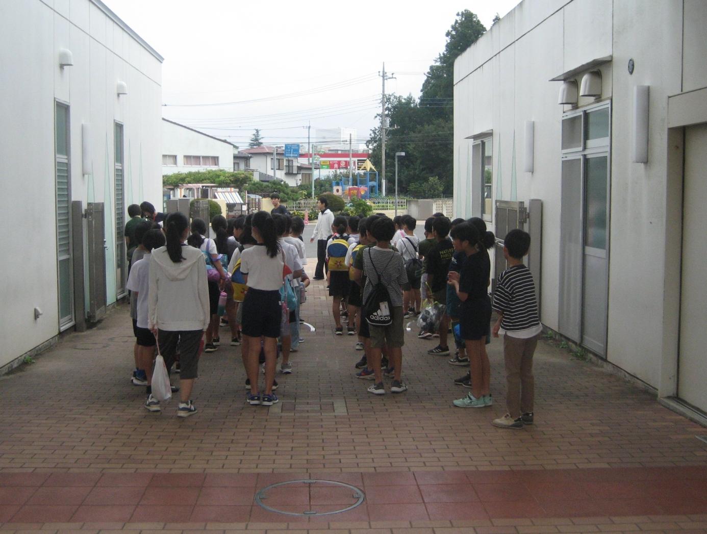 IMG_1335 IMG_1335