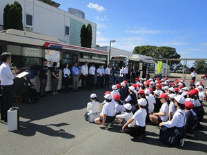 IMG_3313 IMG_3313
