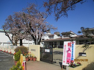 桜 桜