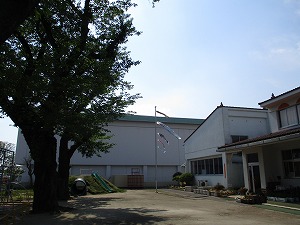 IMG_0935 IMG_0935