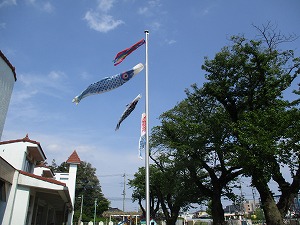 IMG_0940 IMG_0940
