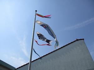 IMG_0938 IMG_0938