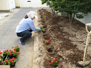 花苗
