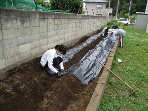 畑 畑