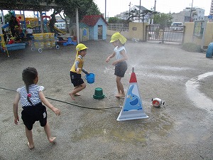 IMG_1558 IMG_1558