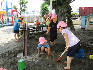 IMG_1561 IMG_1561
