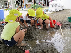 IMG_1581 IMG_1581