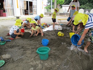 IMG_1587 IMG_1587