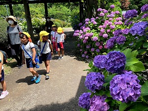 IMG_9358