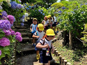 IMG_9368
