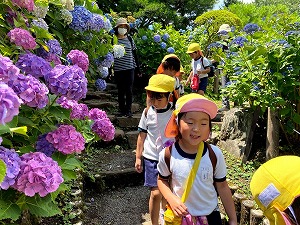IMG_9370 IMG_9370