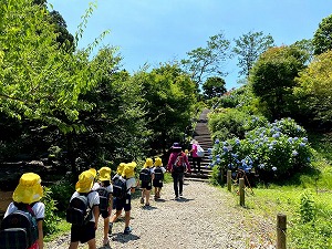 IMG_9391 IMG_9391