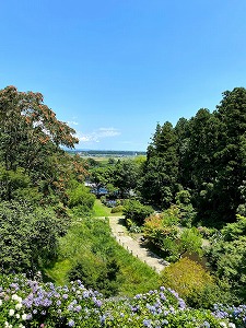 IMG_9392