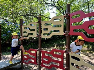 IMG_9401 IMG_9401